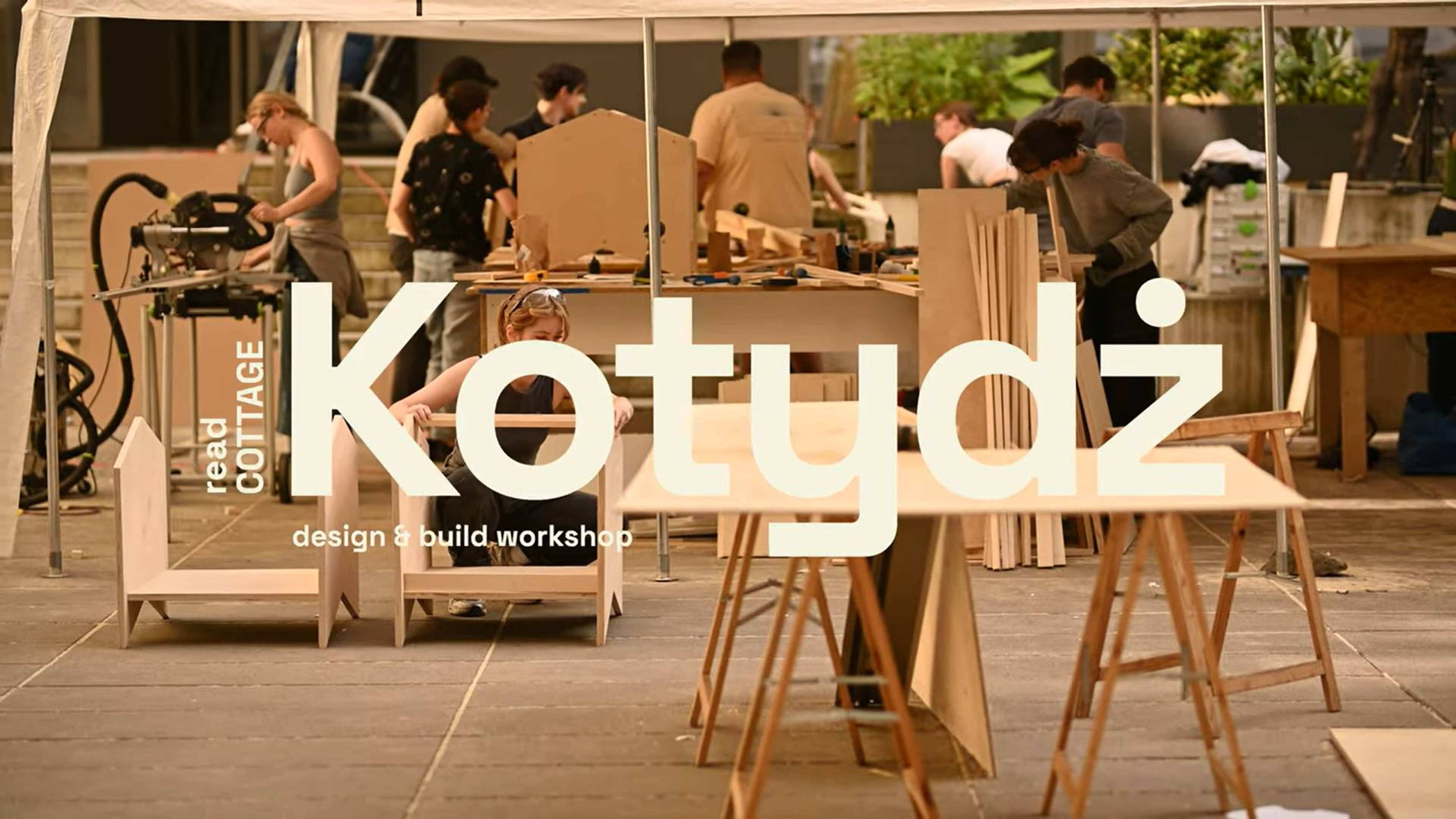 Kotydz 2024